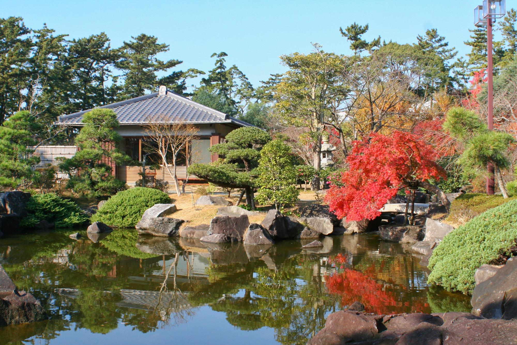 しおさい公園写真