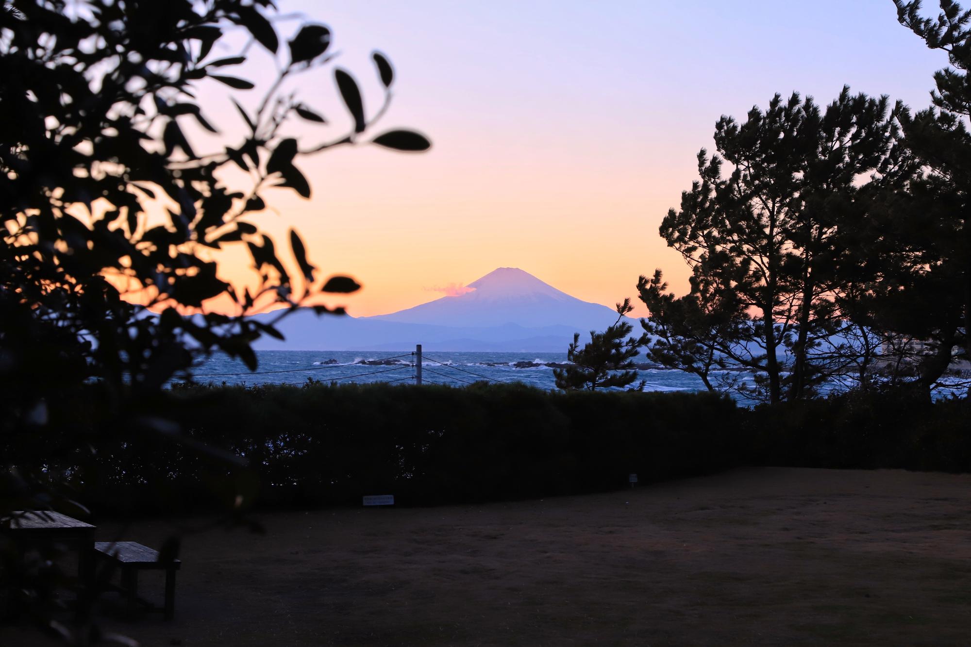 しおさい公園