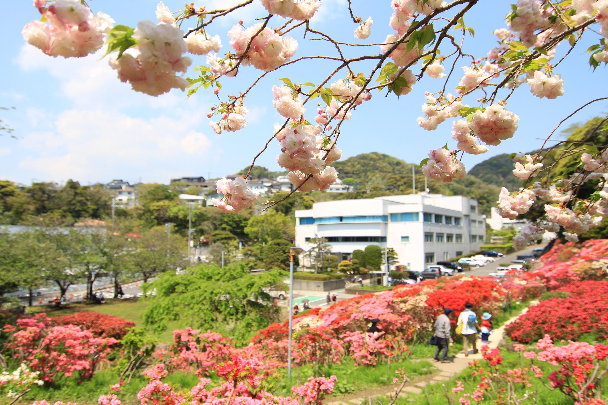 花の木公園