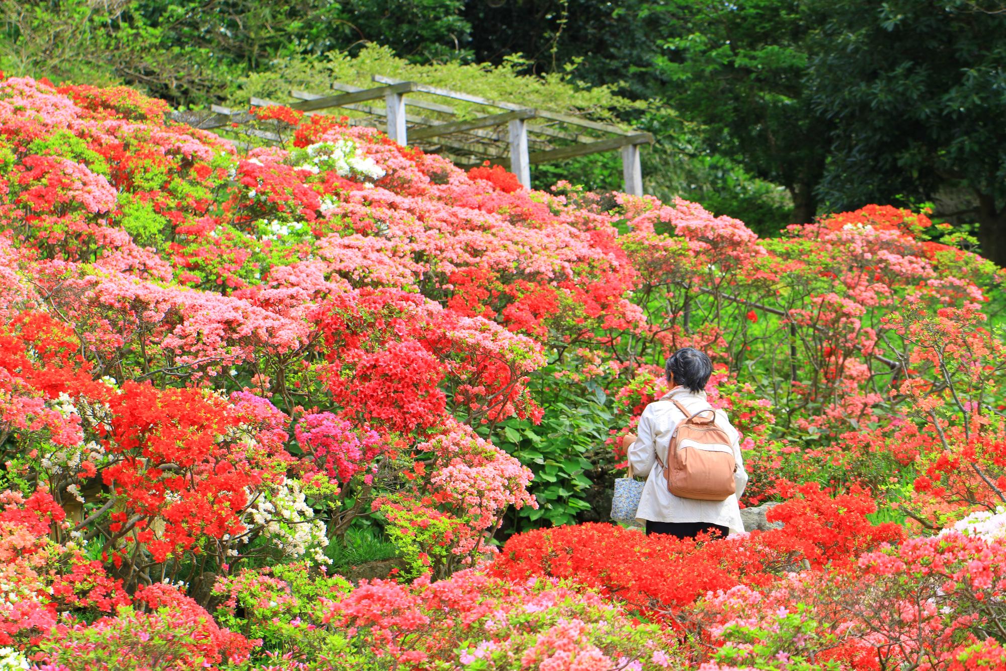 花の木公園