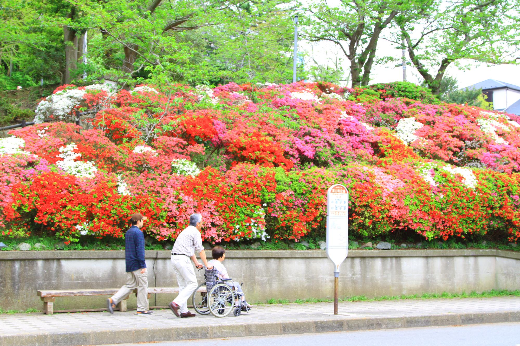 花の木公園