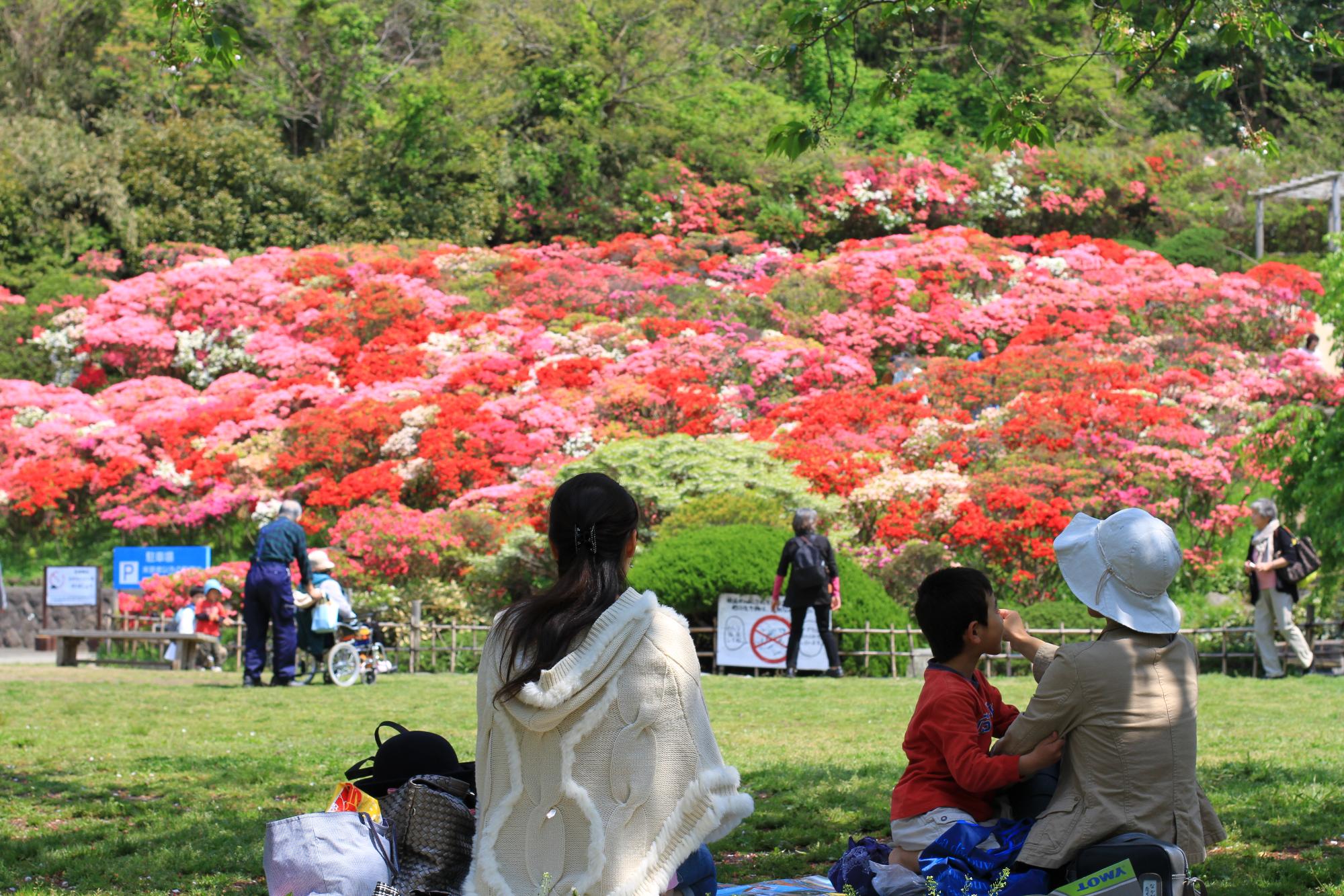 花の木公園