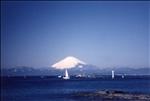 真名瀬海岸から富士山を望む写真