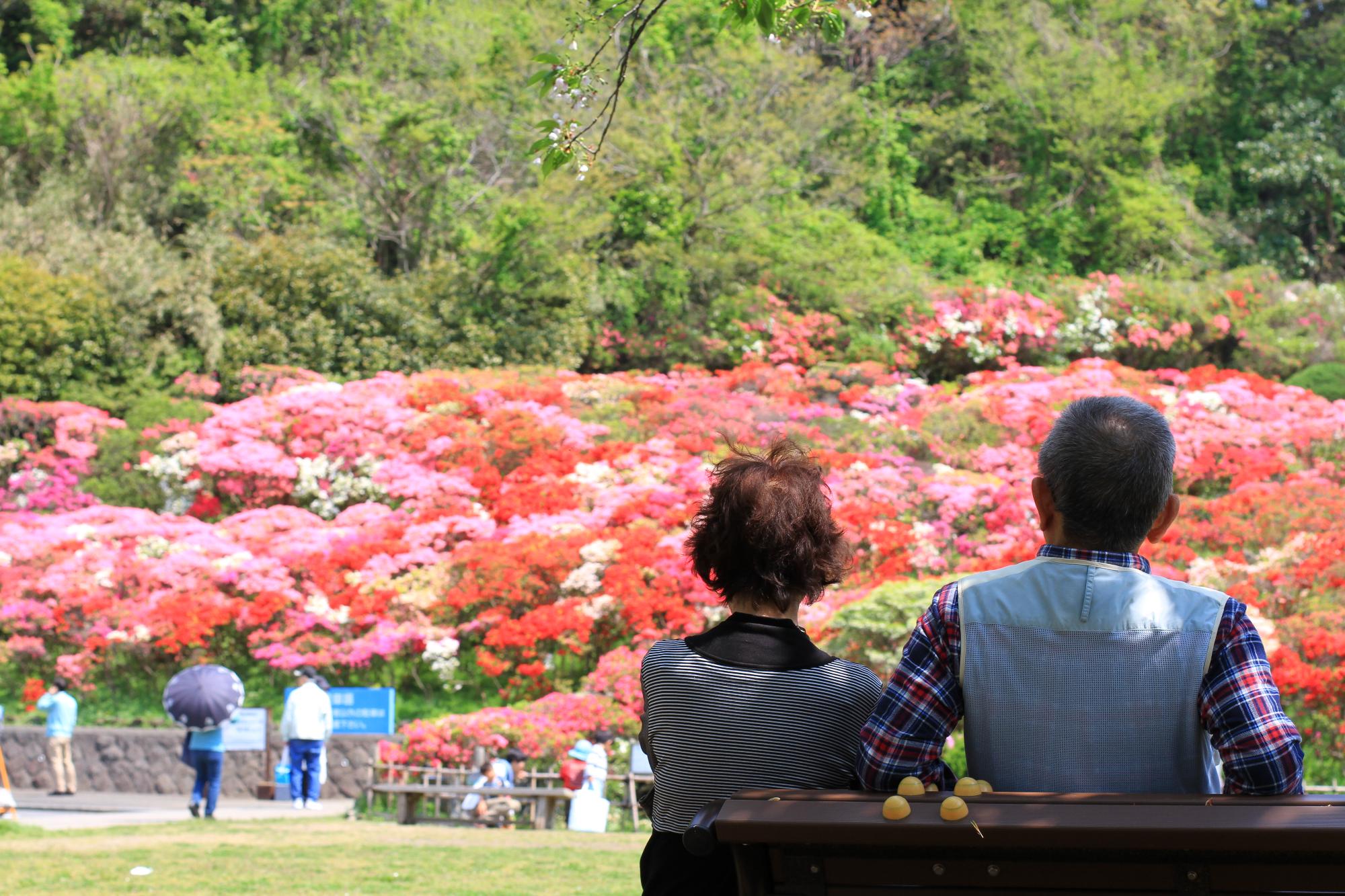 花の木公園でベンチに座る人