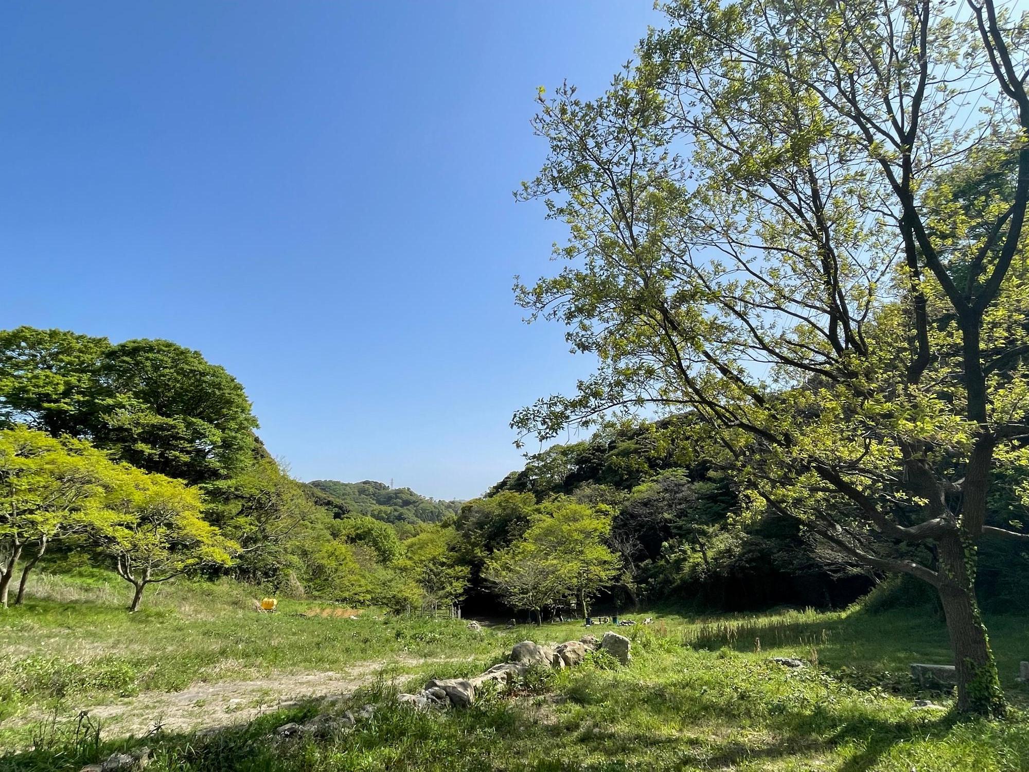 秘密基地全景その2