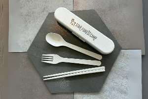 starhomeのプレゼント