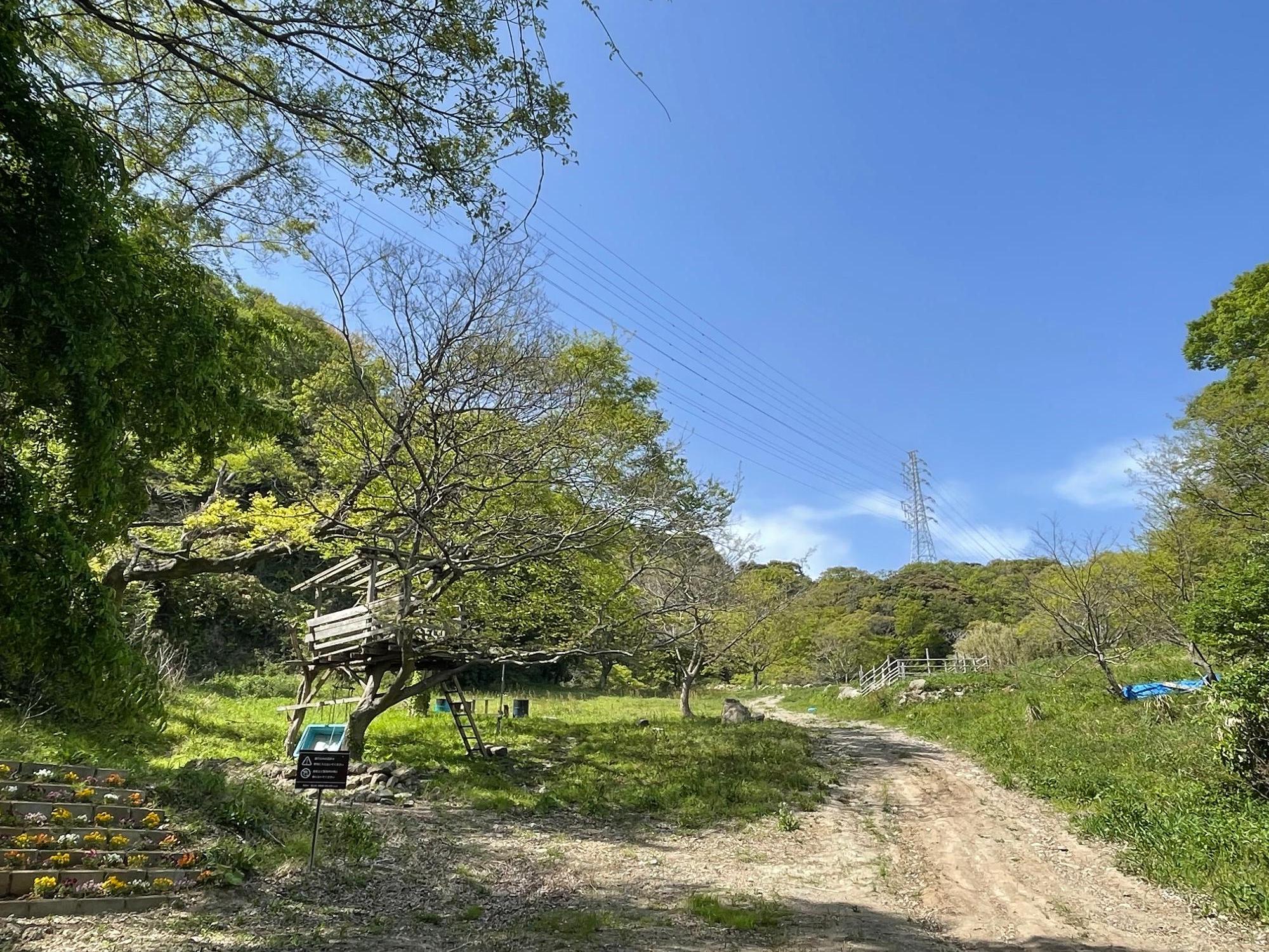 秘密基地全景