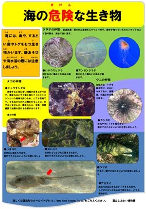 海の危険な生物のポスター