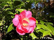 12月の写真