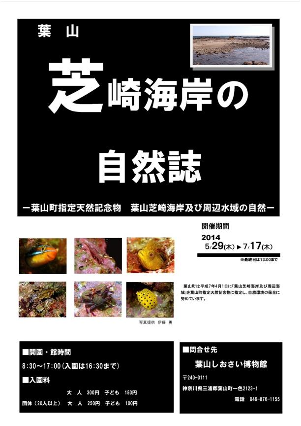 葉山芝崎海岸の自然誌の写真