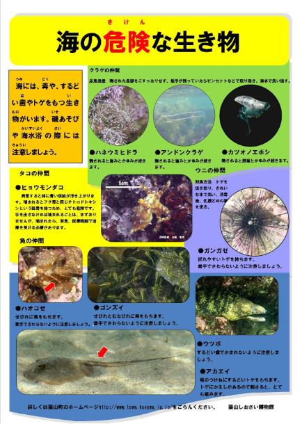海の危険な生物な生物のポスター
