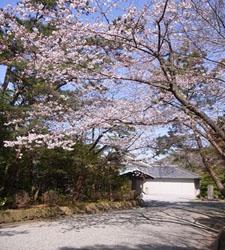 4月の写真