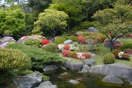 庭園の池は井戸水を使用。の写真