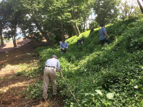 古墳の雑草除去の様子