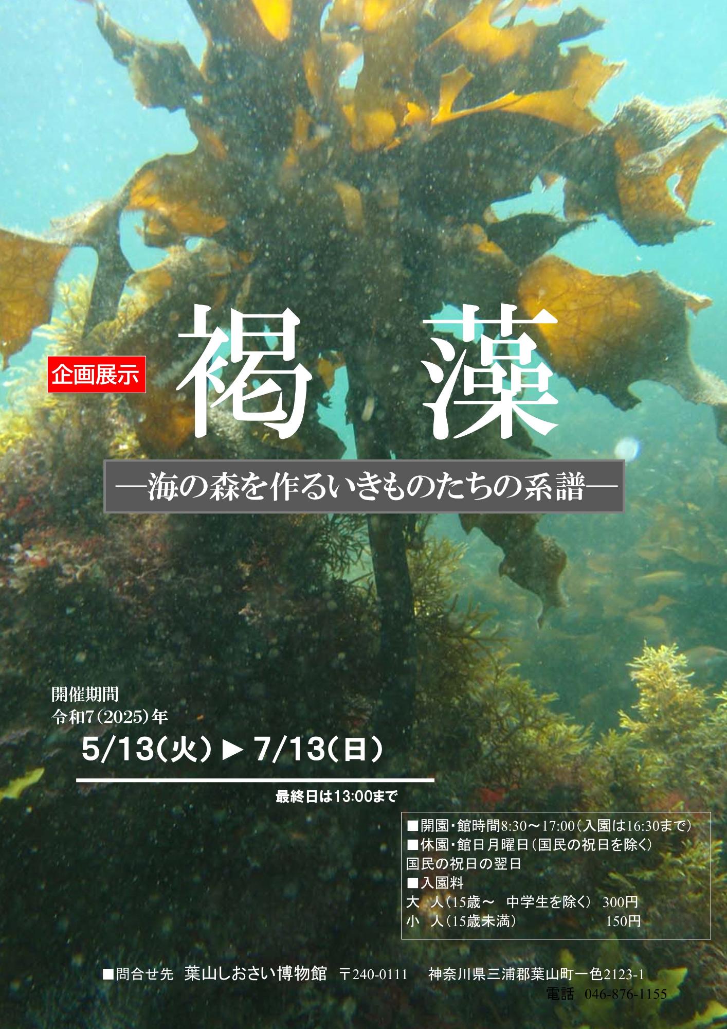 shiosai20250514