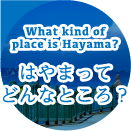 はやまってどんなところ？