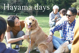 Hayama days