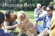 Hayama days